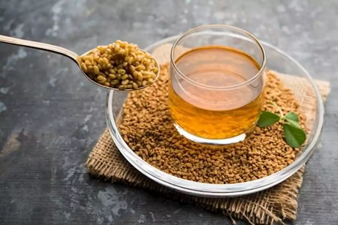الحلبة كنز طبيعي لصحتك إليك أهم فوائدها