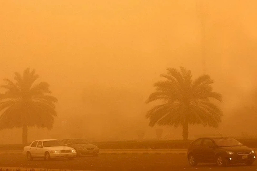 العاصفة الترابية في مصر- ماذا يحدث عند الخروج بدون كمامة؟