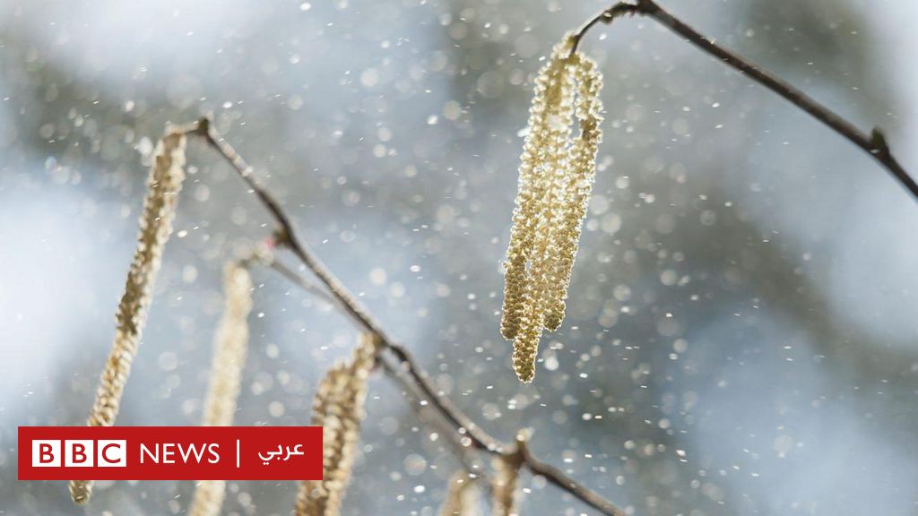 كيف يؤدي تغير المناخ إلى تفاقم مشكلة الحساسية؟