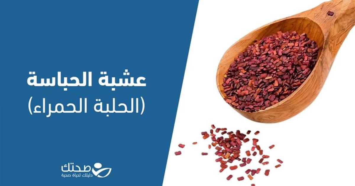 هل تفيد عشبة الحباسة النساء؟ أسرار واستخدامات كثيرة