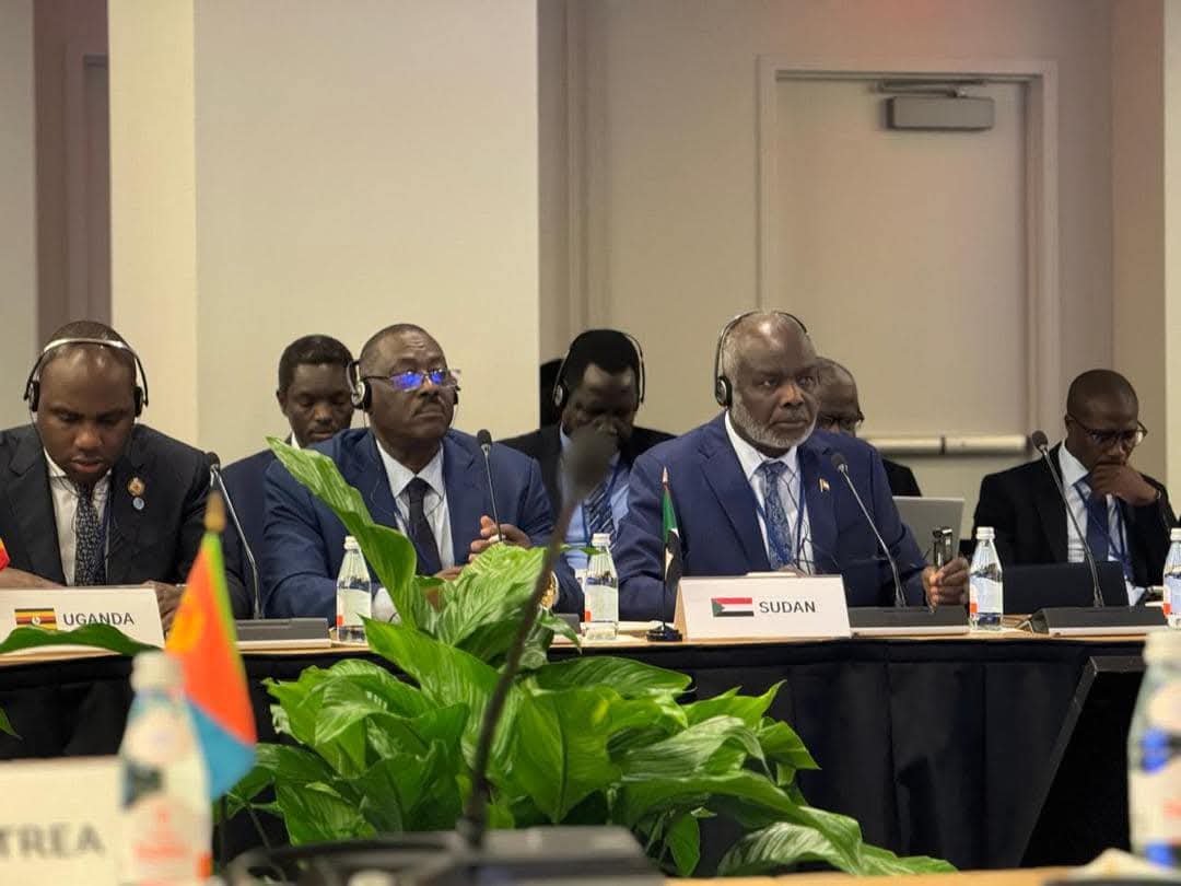 ‏وزير المالية يطالب بإدراج السودان ضمن مبادرة البنك الدولي للطاقة M300 وإعادة تأهيل قطاع الكهرباء