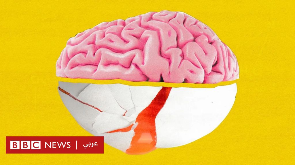 دراسات: البيض خيار مثالي لأحد العناصر المهمة لصحة الدماغ