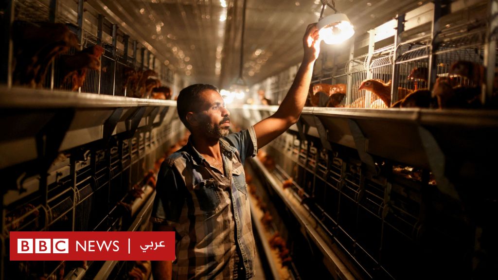 لصالح العمال أم أصحاب الأعمال؟ جدل حول قانون العمل الجديد في مصر
