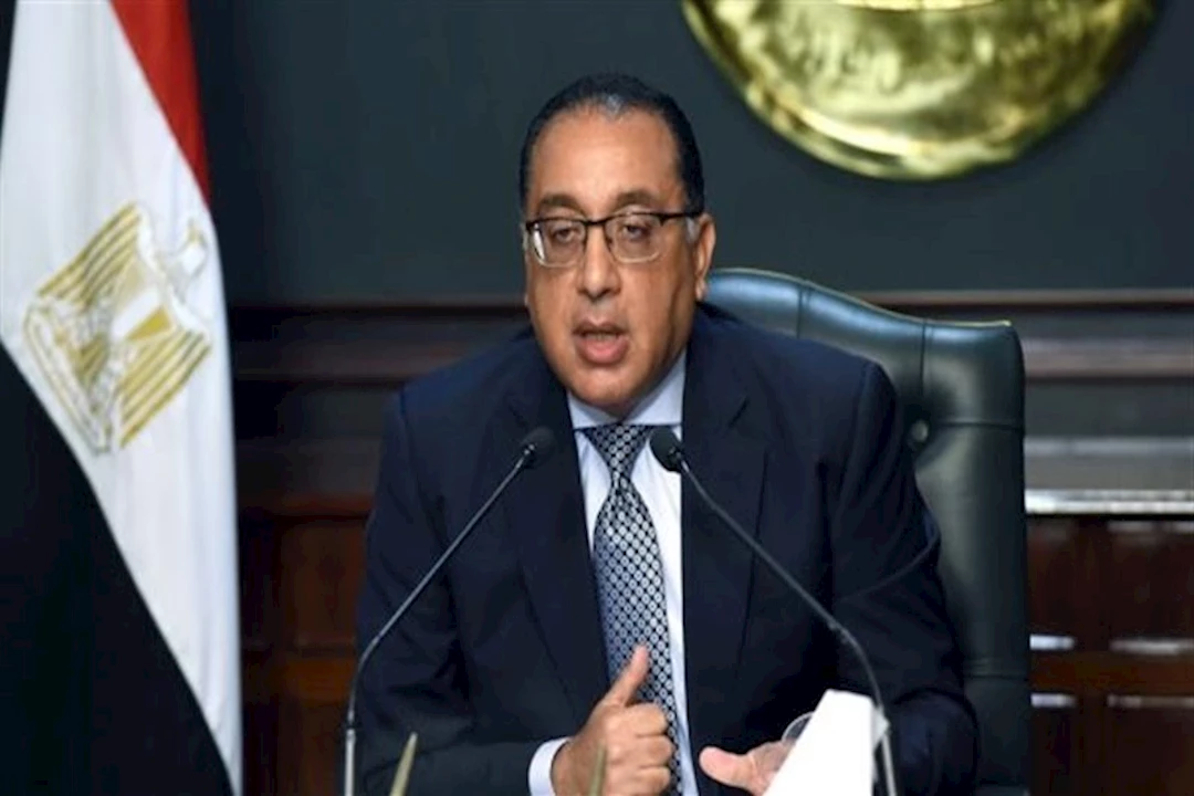 الحكومة تحسم الجدل بشأن وجود أمراض وبائية بالدواجن وعدم كفاية مخزون