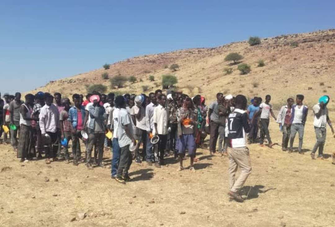 الجيش يفاجئ المهربين.. القوات المسلحة تحبط أخطر عملية اتجار بالبشر