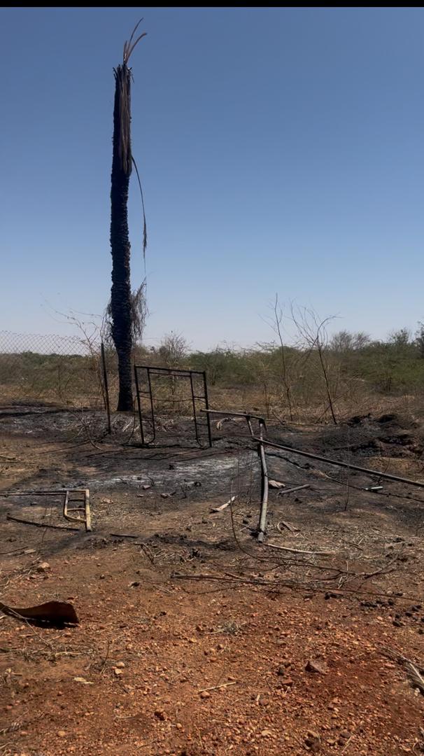 مدير حديقة السودان يكشف لـ(الراكوبة): مشاهد مرعبة بعد الحرب