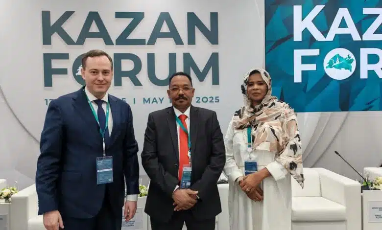 تعليق العمل في مشروع روسي بالسودان
