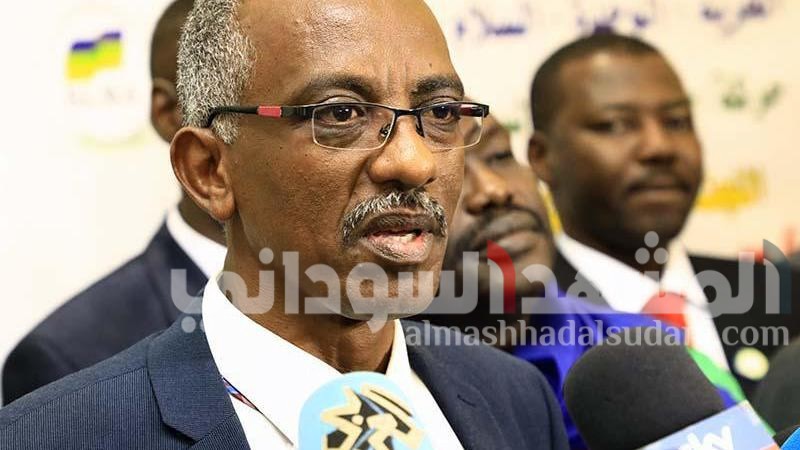 وجدي صالح يعلق على إعادة تعيين المفصولين من النظام السابق