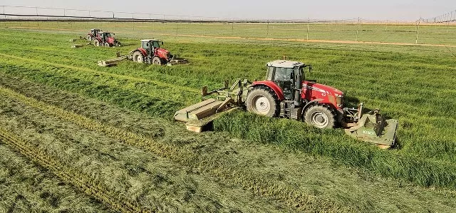 الزراعة تؤكد ضرورة الإهتمام ببرنامج صحة النباتات لإرتباطه المباشر بصحة الإنسان والحيوان
