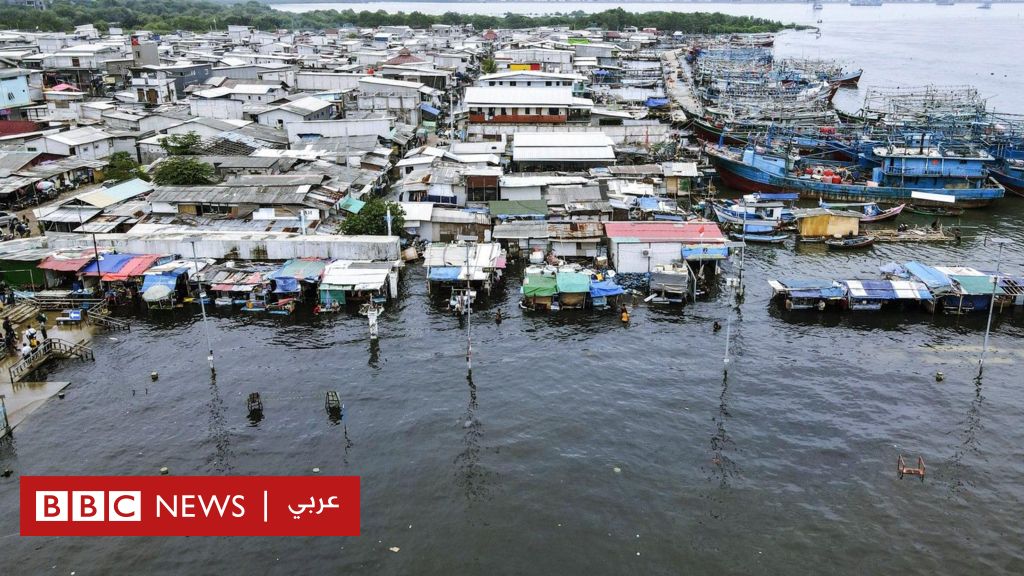 مدن تغرق: من واشنطن وحتى الإسكندرية، وطوكيو تجد الحل
