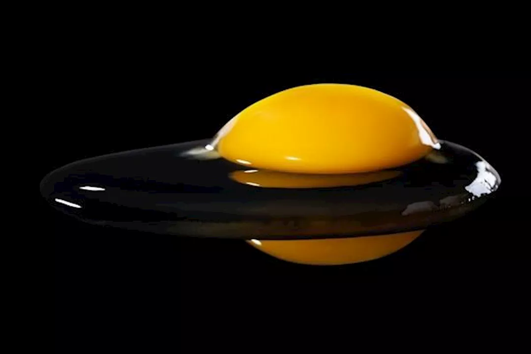 صفار البيض لمرضى الكبد الدهني- مسموح أم ممنوع؟
