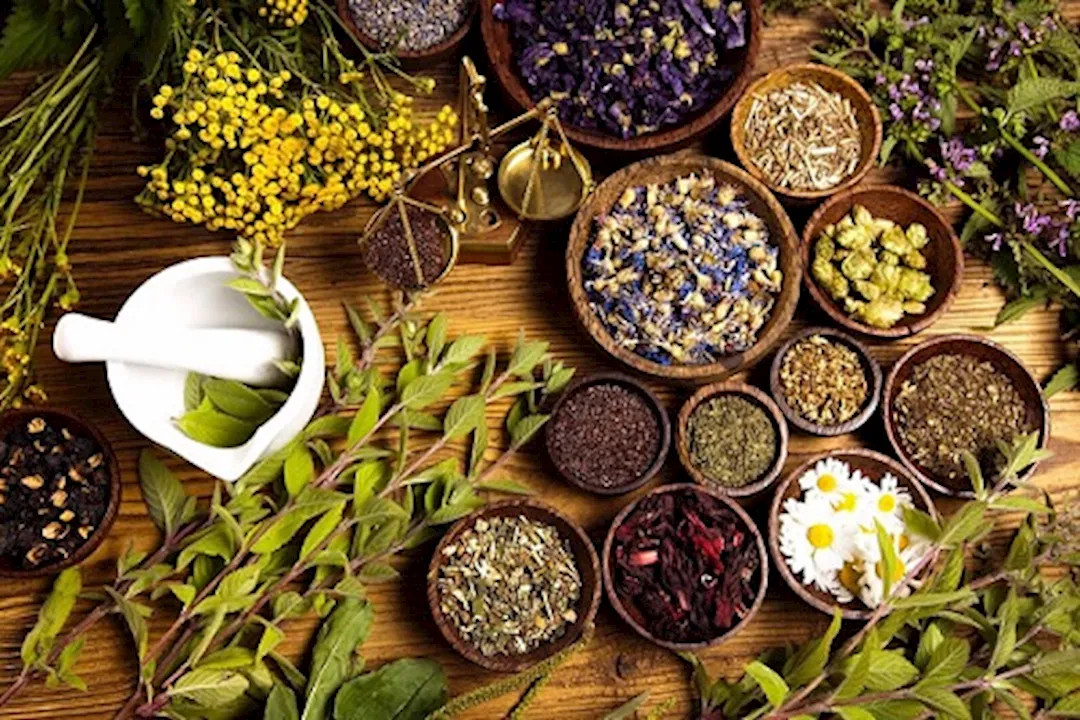 خلال الامتحانات.. أعشاب طبيعية لزيادة التركيز