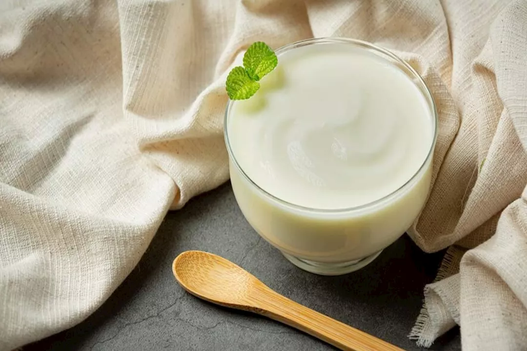 هل تناول الزبادي قبل الوجبات له فوائد صحية؟