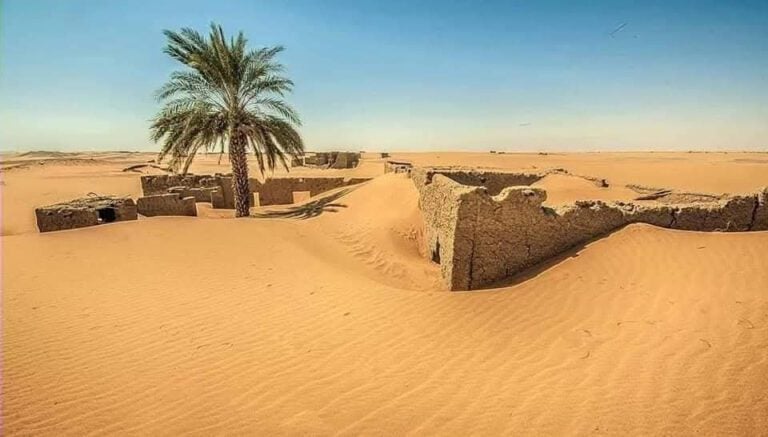العدالة في الأرض، والجفاف، والتصحر: كيف تدافع مدينة سودانية عن حقوقها