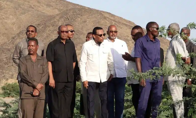 سد أربعات يستقبل إدريس.. هل بدأت ترتيبات كبرى؟