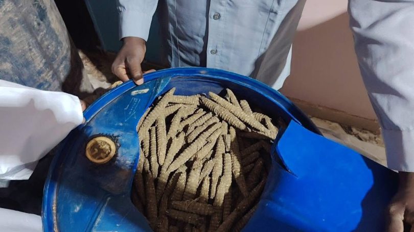 قوات الجمارك مكافحة التهريب بكريمة تضبط كميات كبيرة من المخدرات