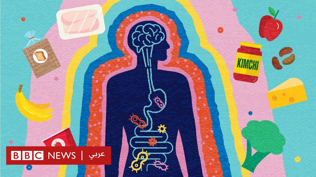 "أنت ما تتناوله"، ما الأشياء التي يجب تناولها أو تجنبها لصحة الأمعاء؟