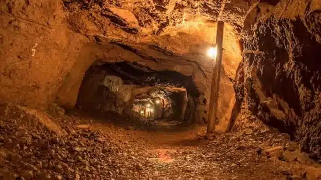 بيان حاسم من المعادن بعد كارثة كرش الفيل