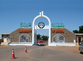 جامعة الجزيرة تستضيف امتحانات أم درمان الإسلامية وسط دعم رسمي