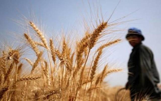 6 دول في الجنوب الأفريقي تخرج من قائمة بؤر الجوع العالمية
