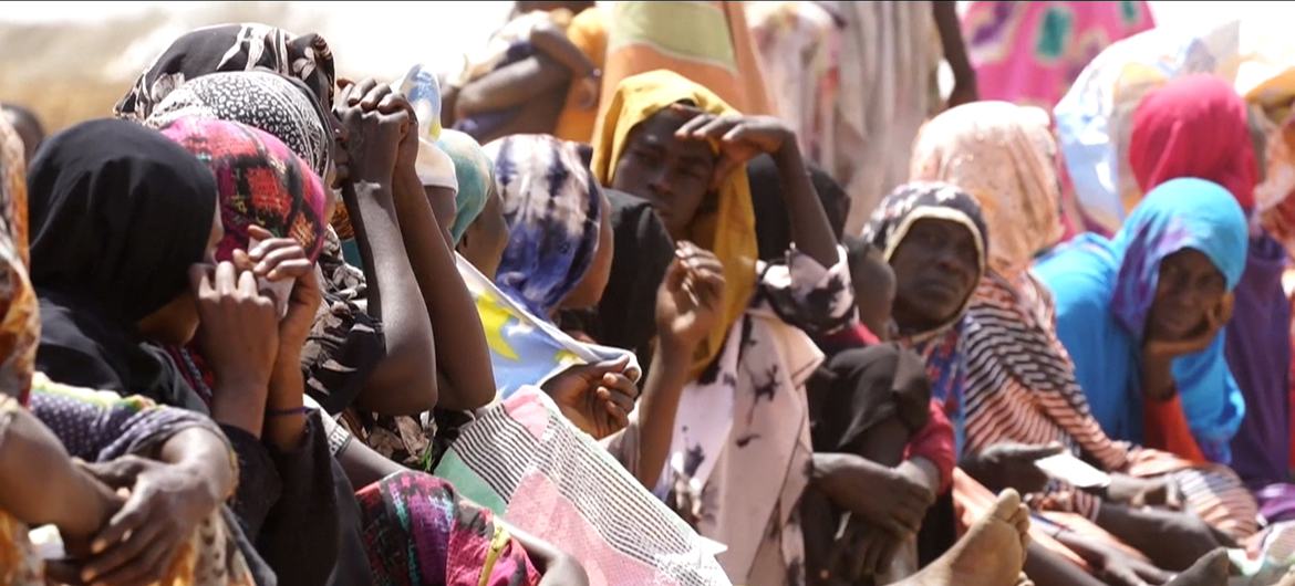 خبير أممي يدعو لحماية الأجيال القادمة من أهوال العنف الجنسي في السودان