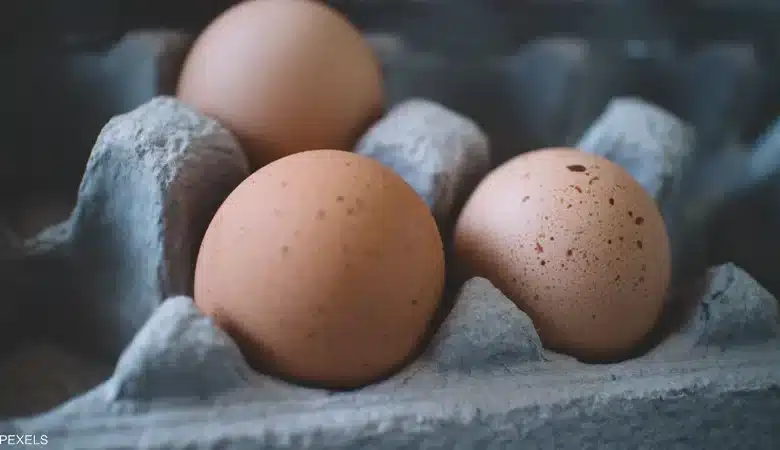 دراسة صادمة.. من لا يأكل البيض مهدد بهذا المرض الخطير