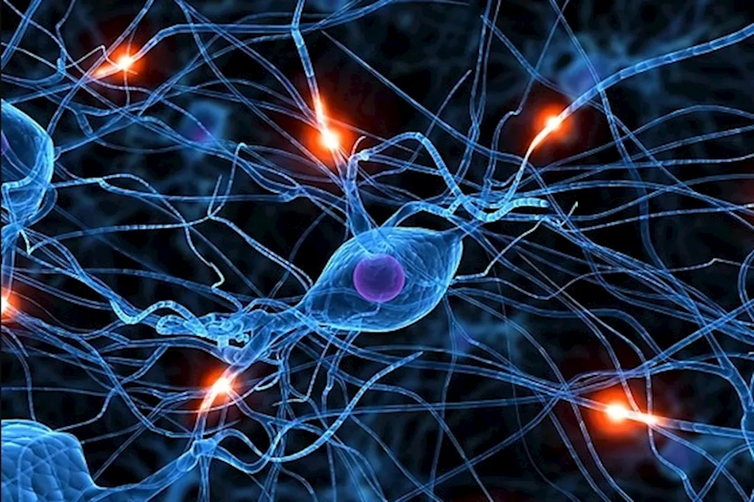 علامات تشير لإصابتك بتلف الأعصاب.. احذرها