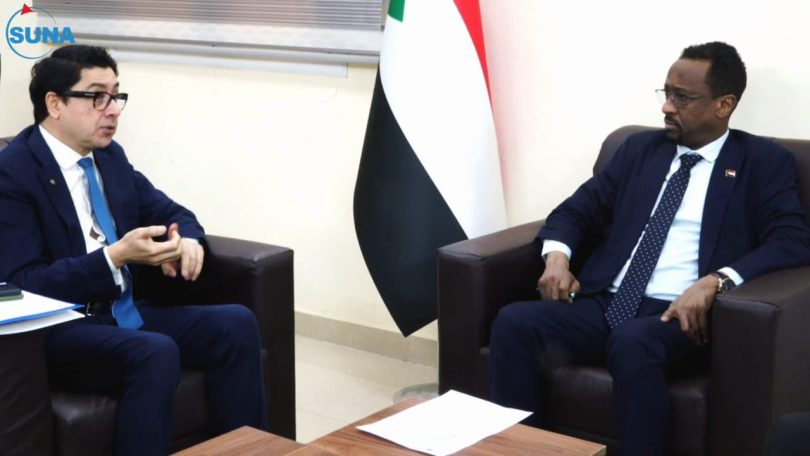 الاعيسر يلتقي مدير مكتب اليونسكو بالسودان