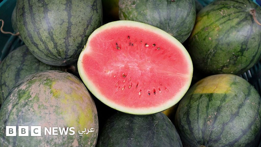 ماذا نعرف عن فيروس روتا، وهل للفواكه علاقة به؟