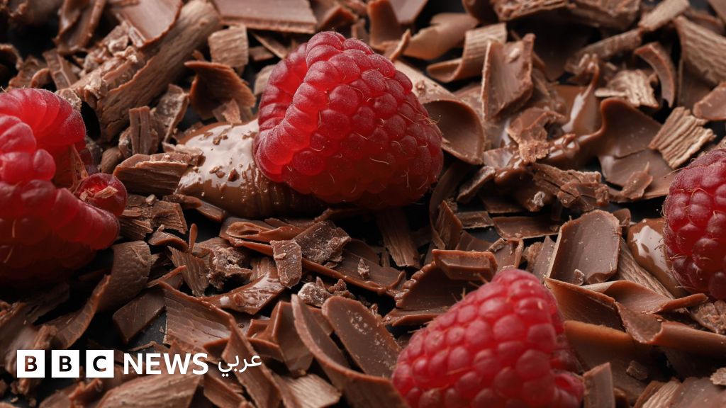 الشوكولاتة: من "طعام إلهي" إلى "مال ينمو على الأشجار"