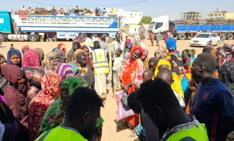 العوينات تنزف.. موجة نزوح جديدة تتجه نحو مصر