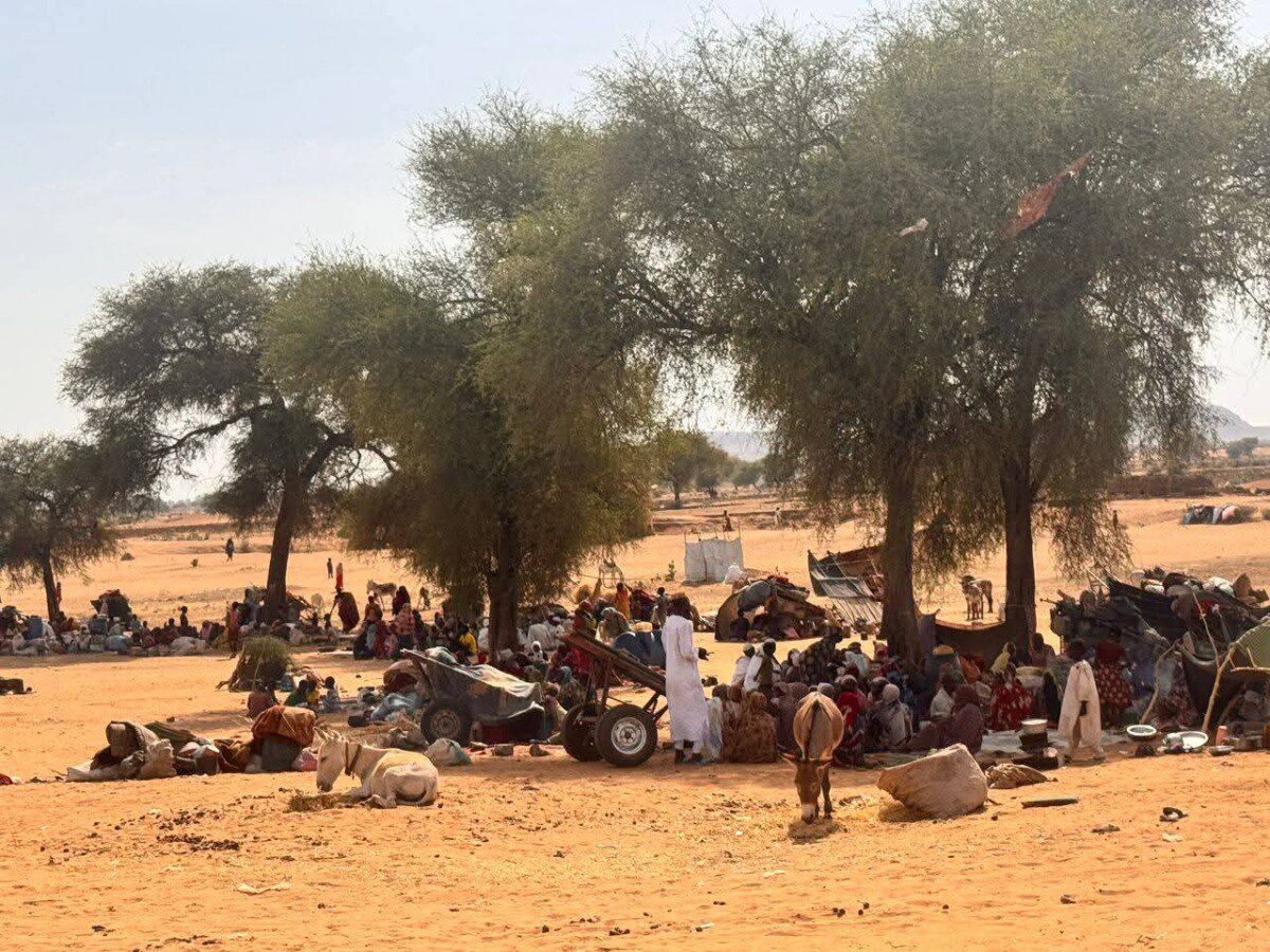 أطباء بلا حدود: محاصرون في الفاشر يتعرضون للهجوم ويموتون جوعًا