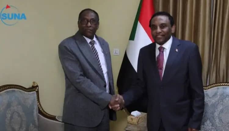 اللجنة القومية العليا لإعمار السودان لما بعد الحرب تشكل عددا من اللجان المتخصصة