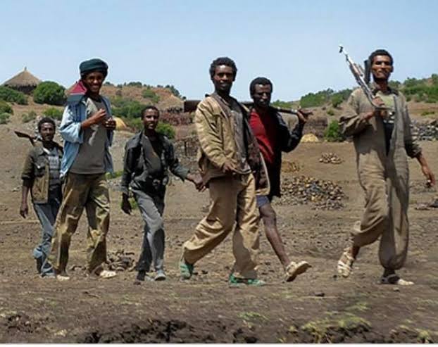 تمدد إثيوبي فى أراضي الفشقة السودانية ومحاولات لتغيير ديمغرافي