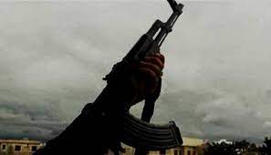 مقتل شخص في حادثة نهب فريق منظمة أجنبية بدارفور