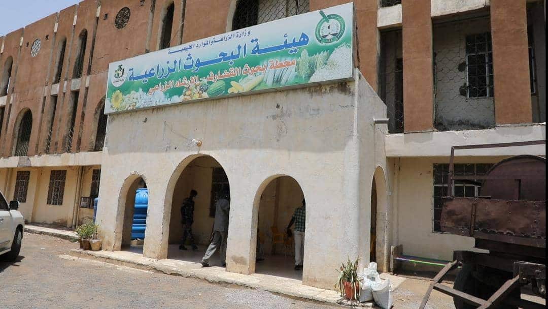 «البحوث الزراعية»: دمار شامل لبنك الجينات ونهب 17 ألف سلالة نباتية