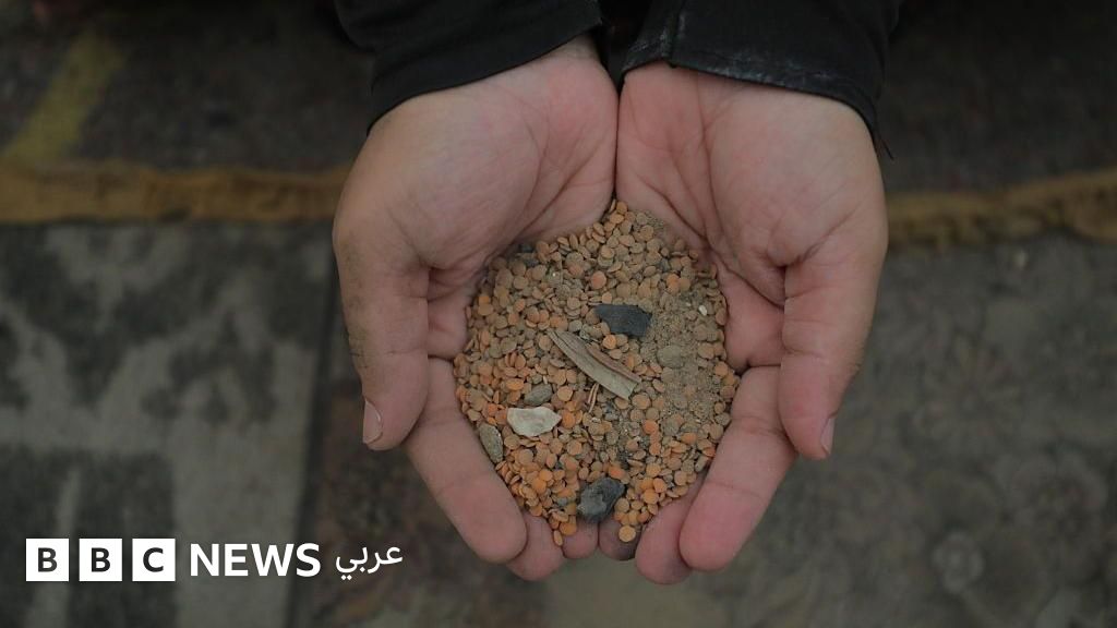 "أطفالي يحلمون بكيس طحين أو علبة حليب"، في غزة كيف يؤثر نقص الغذاء على مستقبل الأطفال؟