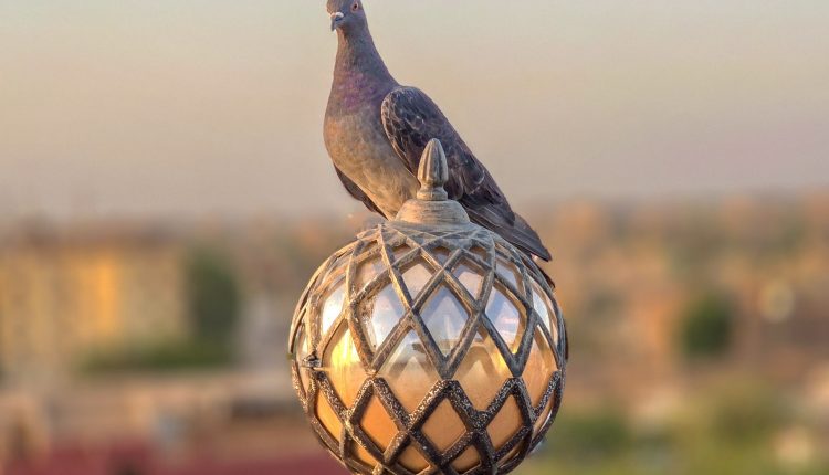 مؤتمر صحفي مرتقب في الخرطوم للإعلان عن”العقار الجديد”