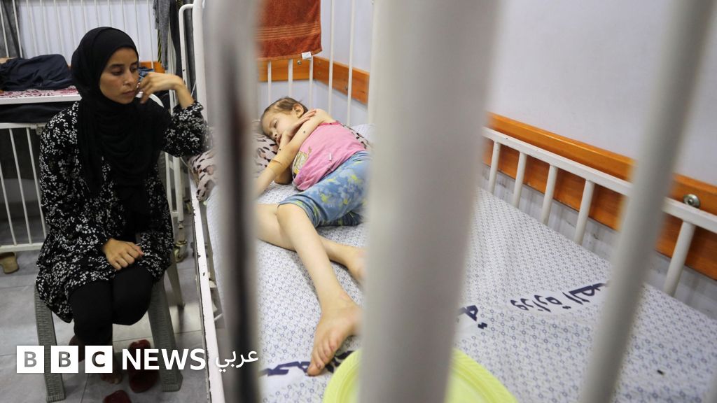 اتهامات أمميّة لإسرائيل بتحويل نظام المساعدات إلى "مصيدة موت"، وحماس ترفض مزاعم ترامب بشأن النهب