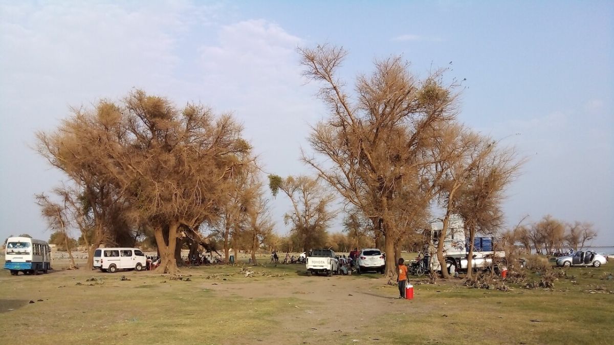 كارثة بيئية صامتة.. الحرب تدفع السودان نحو التصحر