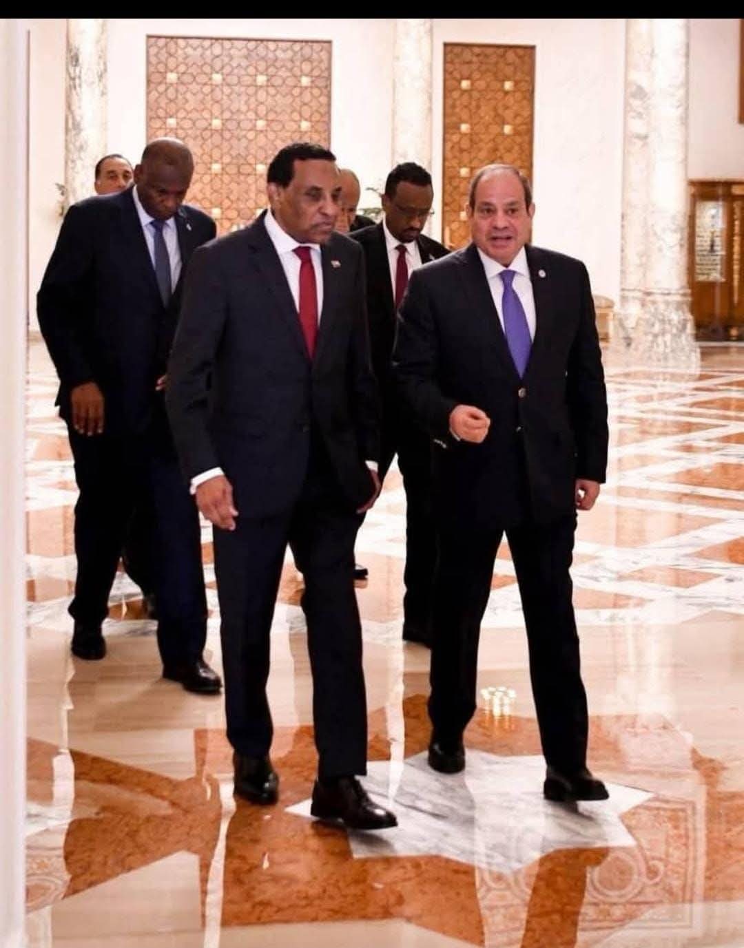 السيسي وإدريس يبحثان ما لا يُقال في العلن