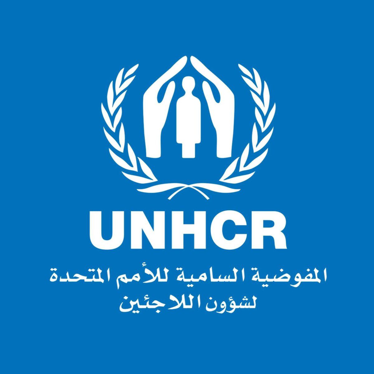 مفوضية اللاجئين: أرسلنا أكثر من 130 شاحنة محملة بالمواد الإغاثية إلى دارفور منذ اندلاع الحرب