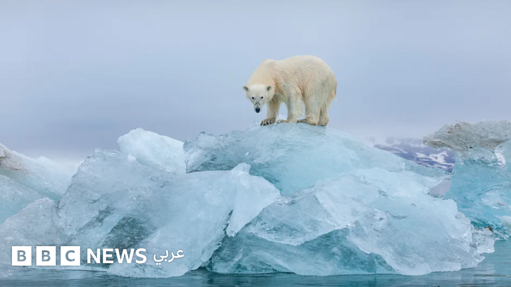 زيارة المعالم الطبيعية المهددة بالاختفاء بسبب تغير المناخ، قد تكون سبباً في تأخر الضرر، كيف ذلك؟