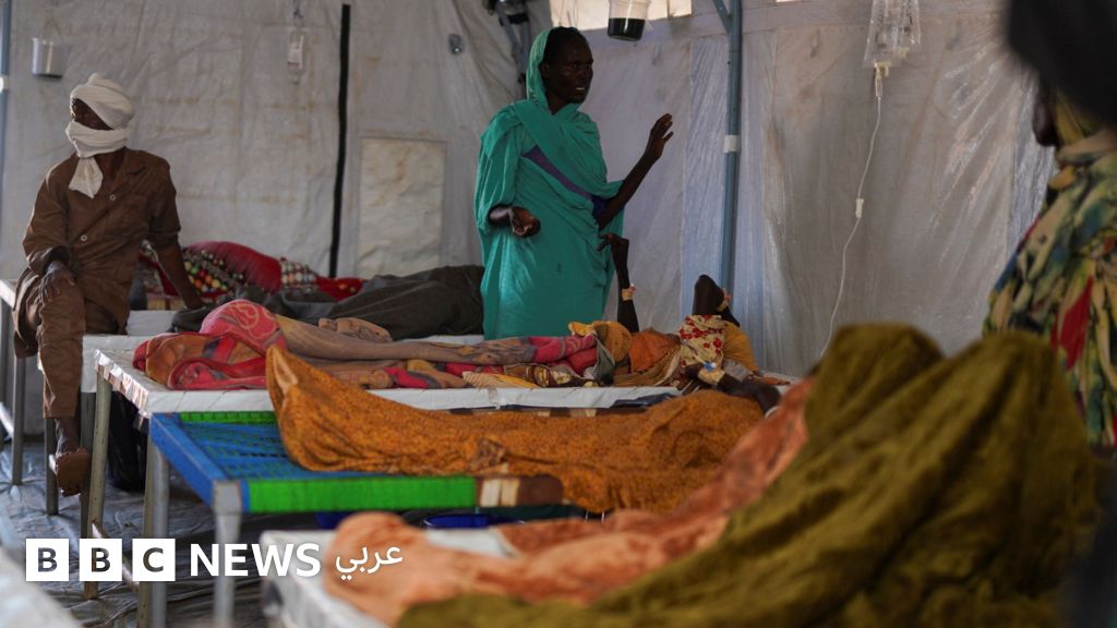 آلاف العائلات تواجه خطر المجاعة في مدينة الفاشر السودانية، وتقارير عن "تفش كبير" للكوليرا غربي البلاد