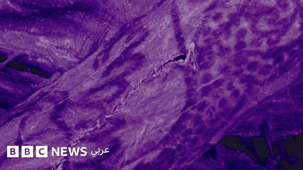 اكتشاف مذهل لوشوم معقدة على جسد مومياء عمرها 2,500 عام