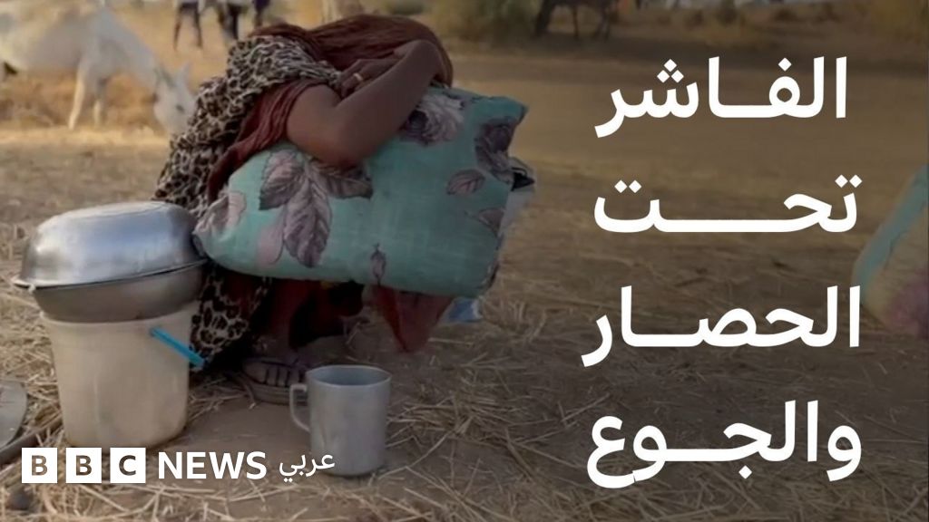 فيديو, ما الذي يحدث في مدينة الفاشر السودانية؟, المدة 3,18