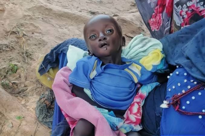 اليونيسيف تحذر: 640 ألف طفل في شمال دارفور مهددون بتفشي الكوليرا